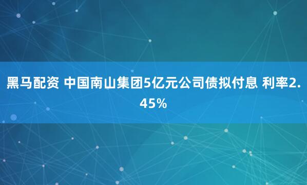 黑马配资 中国南山集团5亿元公司债拟付息 利率2.45%