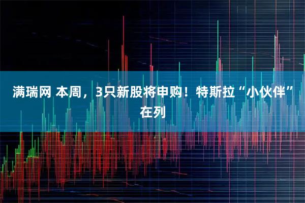 满瑞网 本周，3只新股将申购！特斯拉“小伙伴”在列